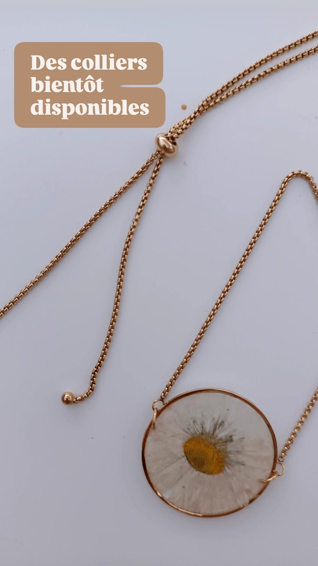 Modèle unique - Collier Fleur séchée - Pâquerette