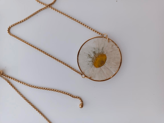 Modèle unique - Collier Fleur séchée - Pâquerette