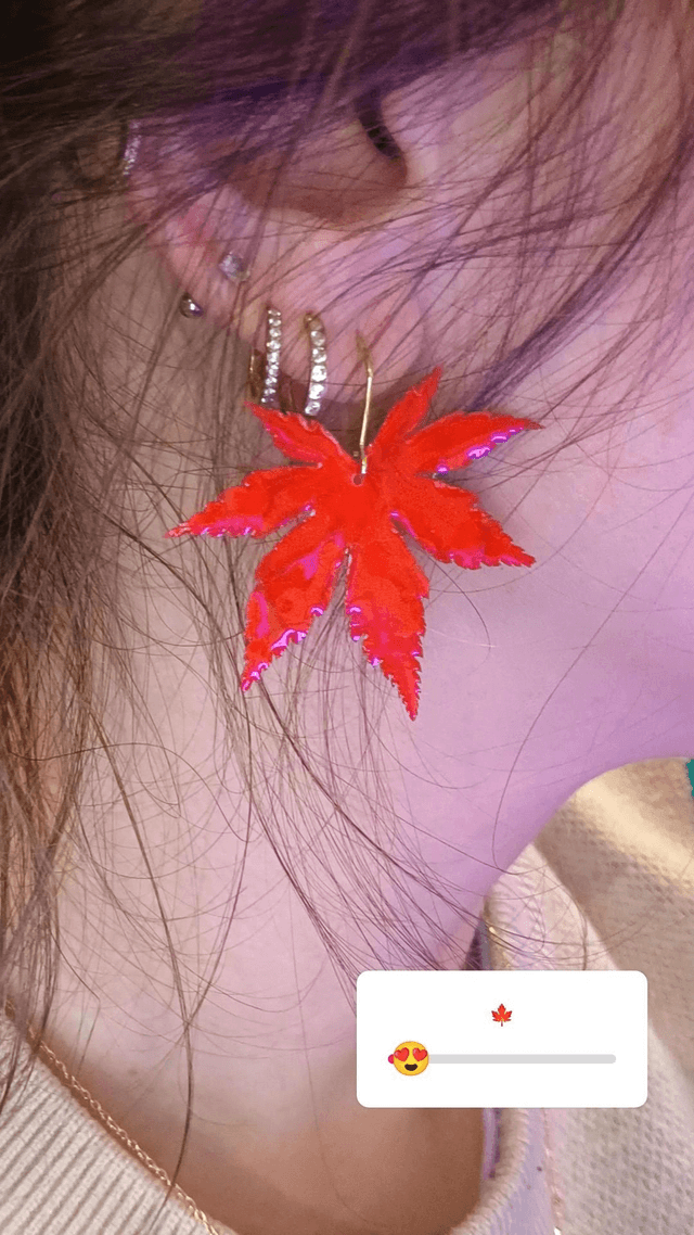 Modèle unique - Feuilles rouges