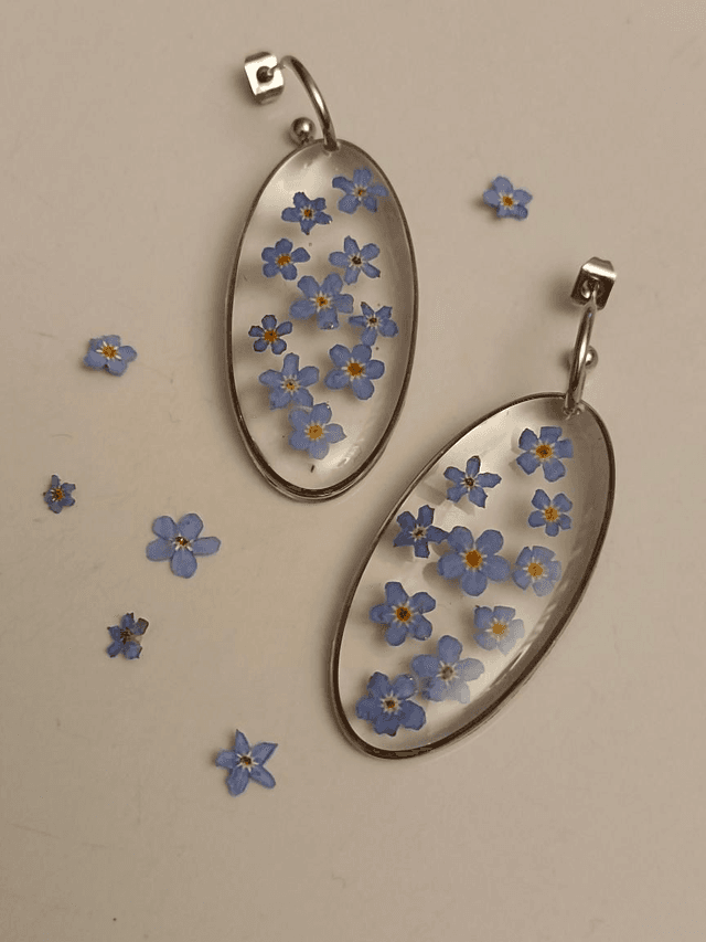 Modèle unique - Myosotis 
